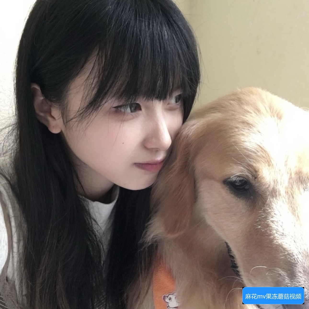 麻花mv果冻蘑菇视频