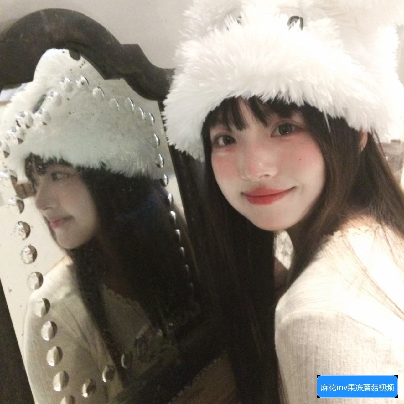 麻花MV、果冻MV、梦幻MV和蘑菇MV有哪些不同之处与特色解析