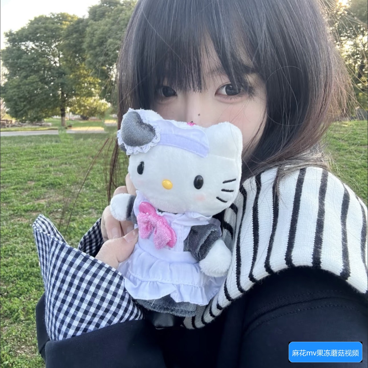 麻花MV、星光MV和天美MV有什么区别？蓝莓视频上的资源是否可靠