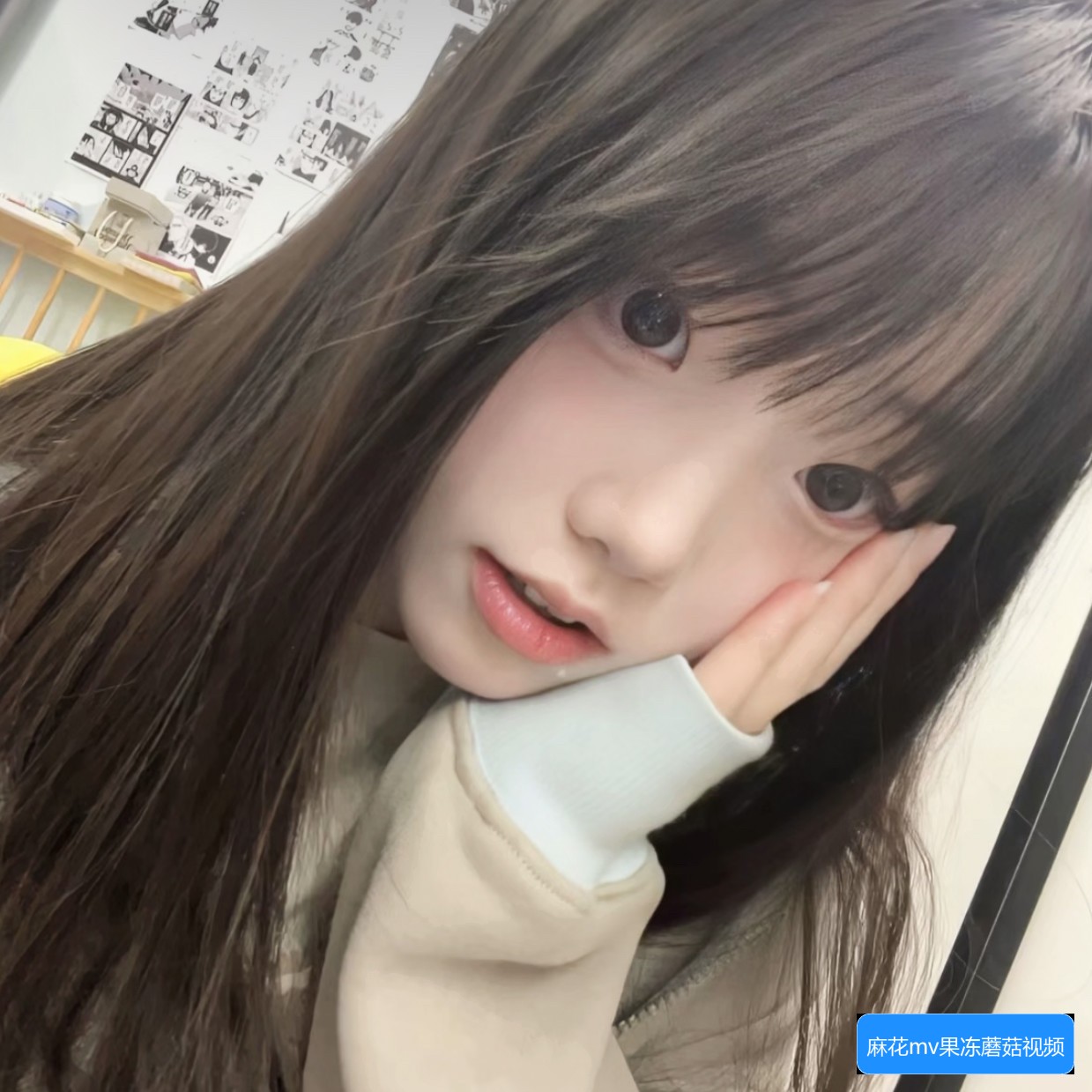 视频下载示意图